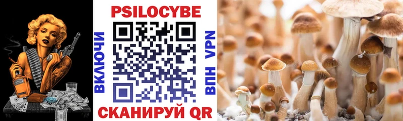 купить  сайты  Топки  Галлюциногенные грибы Magic Shrooms 